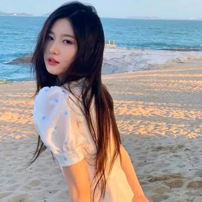 笨金鱼